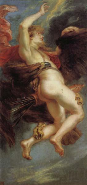 Peter Paul Rubens The Abduction fo Ganymede Norge oil painting art